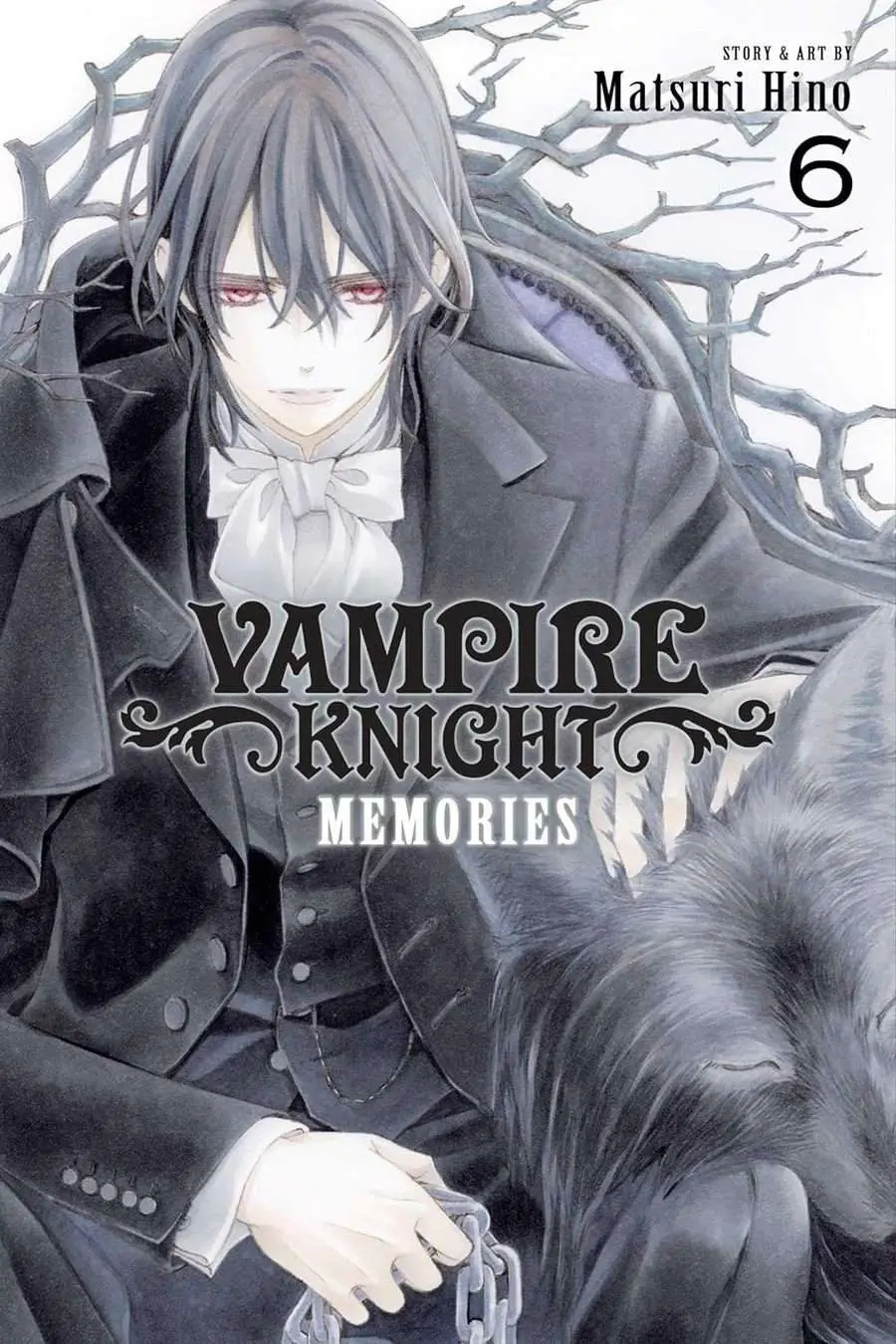 Vampire Knight: Memories, Vol.06