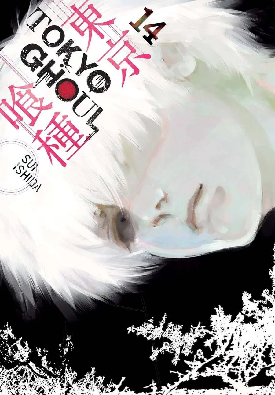 Tokyo Ghoul, Vol.14