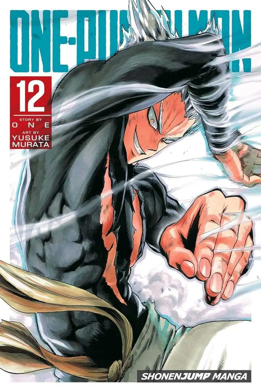 One-Punch Man, Vol.12