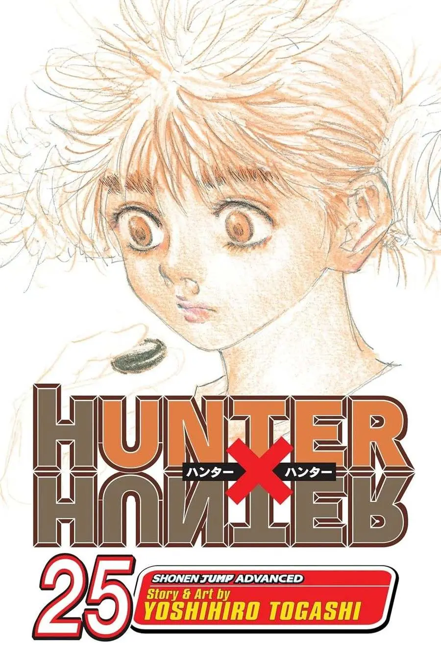 Hunter x Hunter, Vol.25