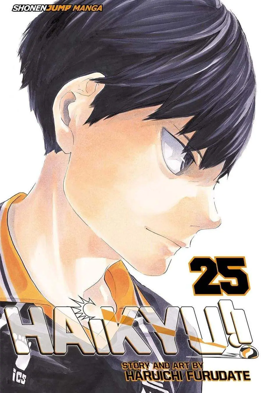 Haikyu!!, Vol.25