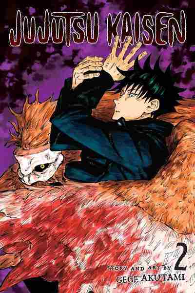 Jujutsu Kaisen, Vol.02